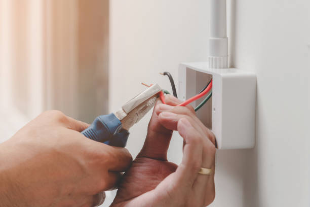 Best Electrical Panel Upgrades  in Muenster, TX